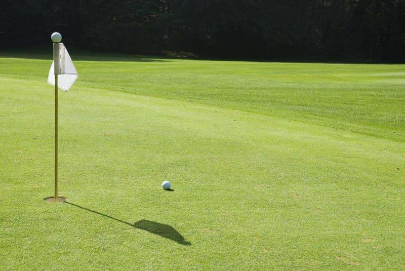 fałszywe zakładanie zieleni fake putting green