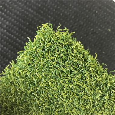 Artificial Turf Putting Green