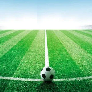 Turf Football Field